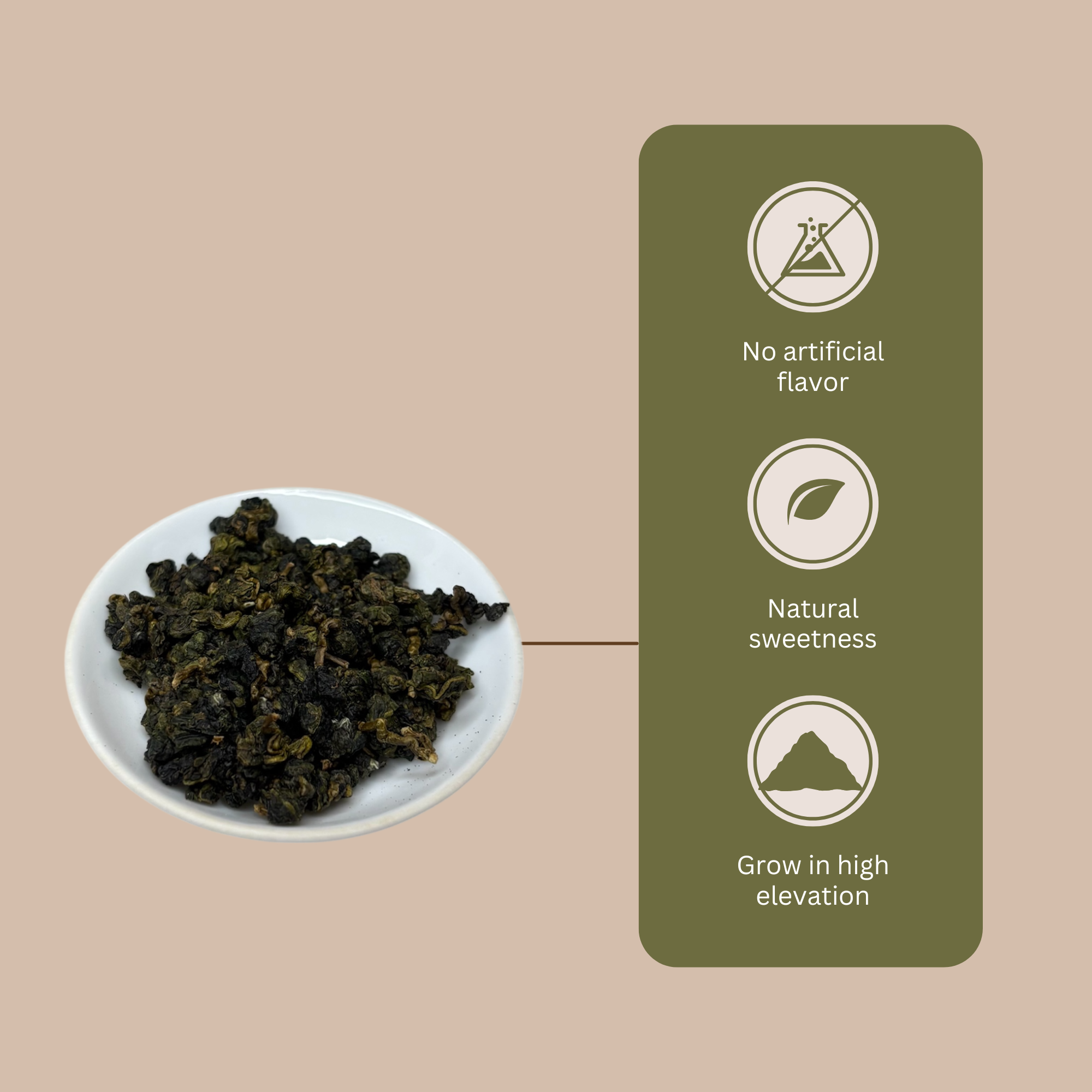 Loose leaf Taiwan Alishan High Mountain Oolong tea, tightly rolled with a jade green color