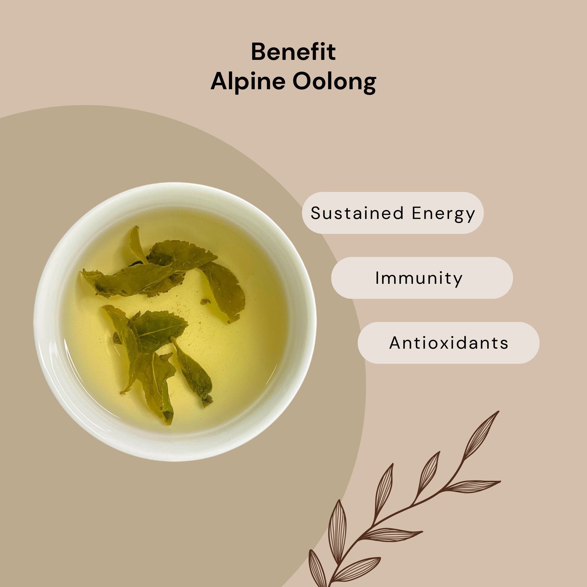 Alpine Oolong