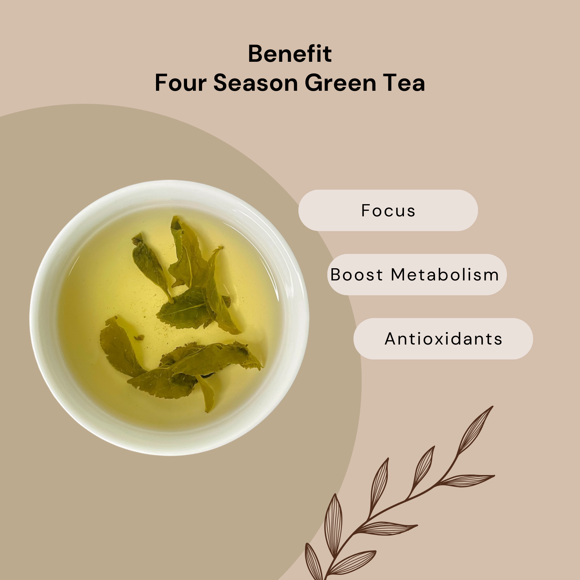 Four Season Green Tea