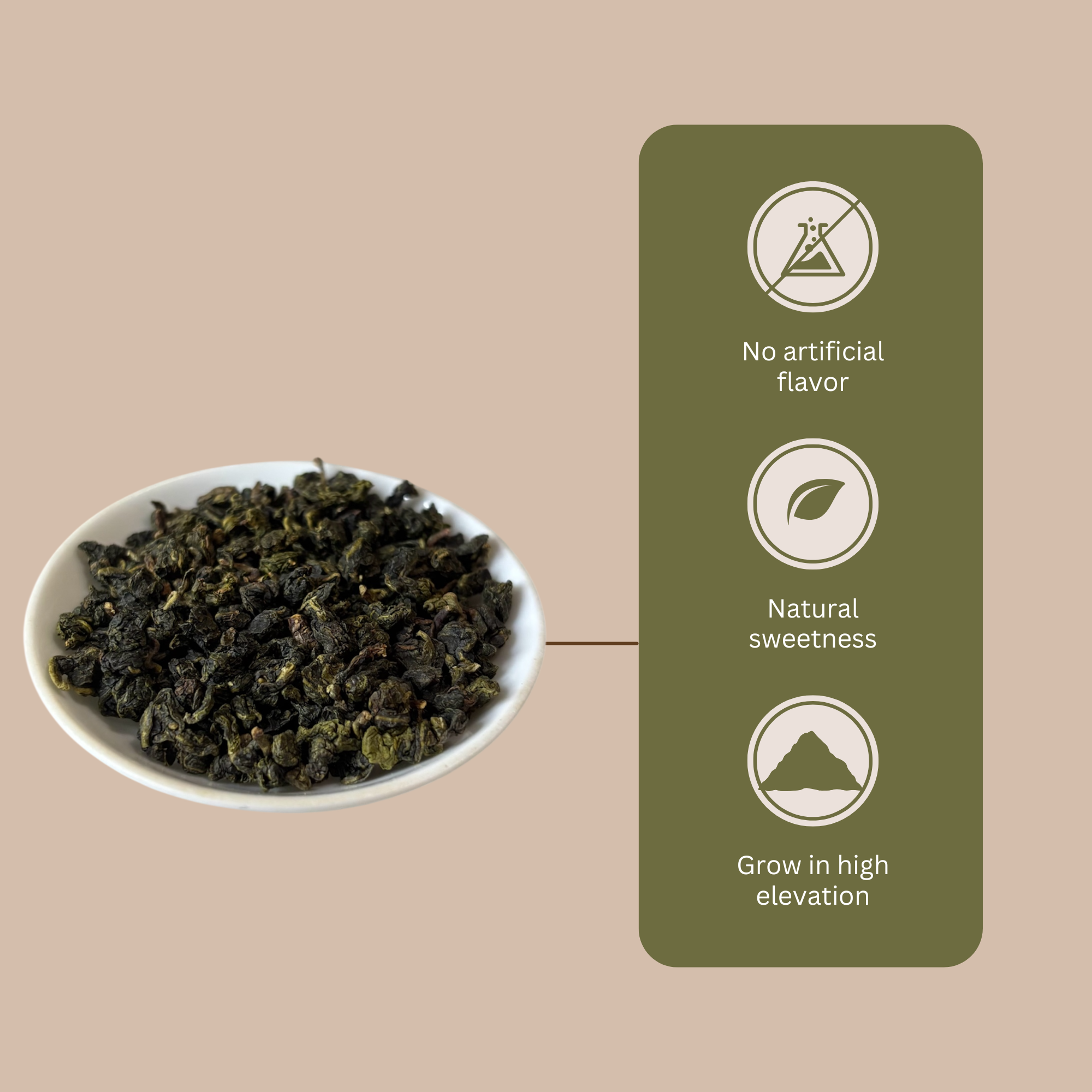 Freshly picked Four Season green tea leaves 